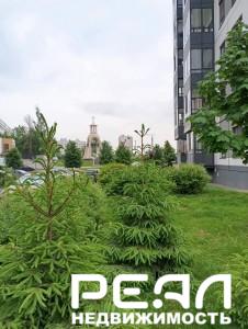 1-комнатная квартира