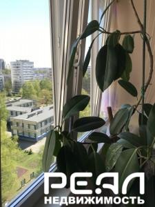 комната