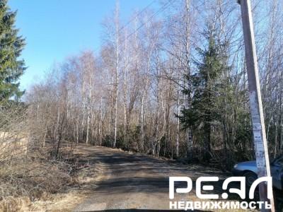 Земельный участок 11.05 сот. в садоводстве