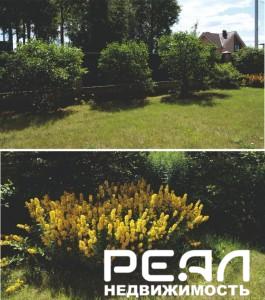 Коттедж с участком 12 сот. в садоводстве