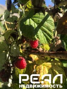 Жилой дом с участком 17.32 сот. ИЖС