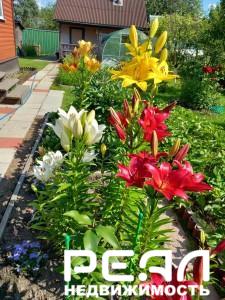 Жилой дом с участком 6.08 сот. в садоводстве