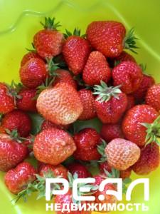 Жилой дом с участком 6.08 сот. в садоводстве