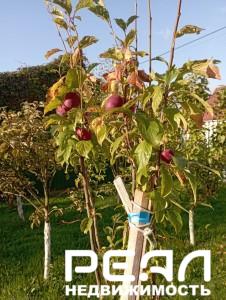 Жилой дом с участком 6.08 сот. в садоводстве