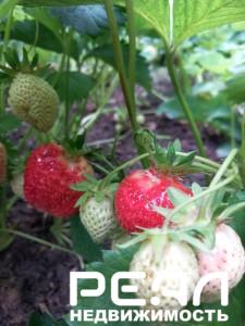 Жилой дом с участком 6.08 сот. в садоводстве