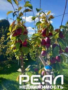 Жилой дом с участком 6.08 сот. в садоводстве