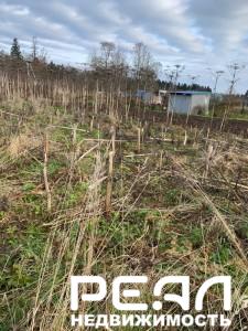 Земельный участок 6 сот. ИЖС