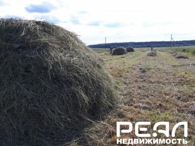 Земельный участок 2 сот. в садоводстве