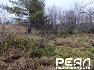 Земельный участок 15 сот. в садоводстве