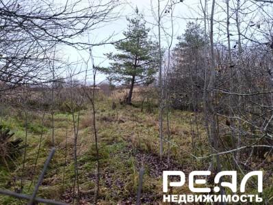 Земельный участок 15 сот. в садоводстве