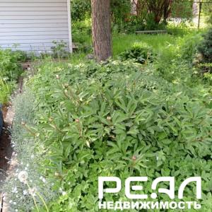 Жилой дом с участком 6.3 сот. в садоводстве