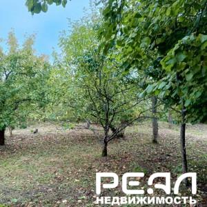 Земельный участок 6.18 сот. в садоводстве