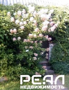 Земельный участок 6.18 сот. в садоводстве