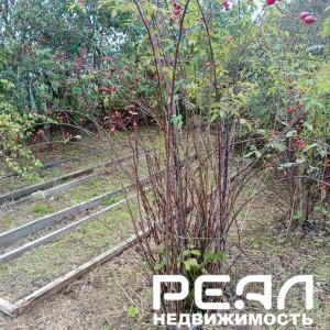 Земельный участок 6.18 сот. в садоводстве