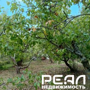 Земельный участок 6.18 сот. в садоводстве