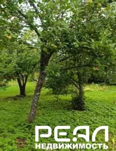 Земельный участок 6.18 сот. в садоводстве