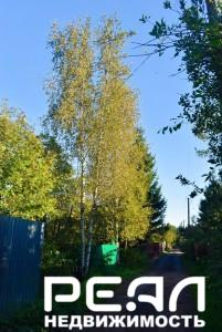 Земельный участок 6 сот. в садоводстве