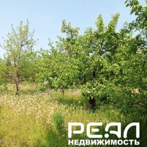 Земельный участок 6.18 сот. в садоводстве