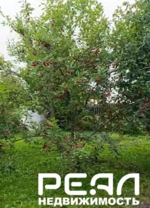 Земельный участок 6.18 сот. в садоводстве