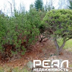 Жилой дом с участком 1 сот. ИЖС