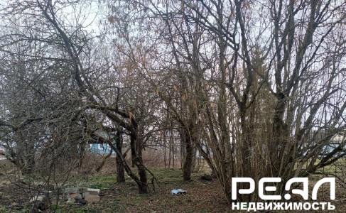 Земельный участок 25 сот. в садоводстве