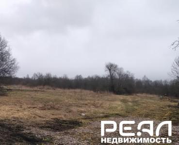 Земельный участок 25 сот. в садоводстве