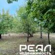 Земельный участок 6.18 сот. в садоводстве