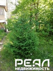 Дача с участком 7 сот. в садоводстве