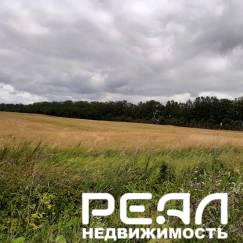 Земельный участок 411 сот. в садоводстве