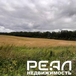 Земельный участок 411 сот. в садоводстве