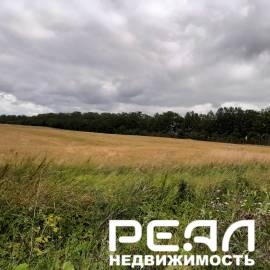 Земельный участок 411 сот. в садоводстве