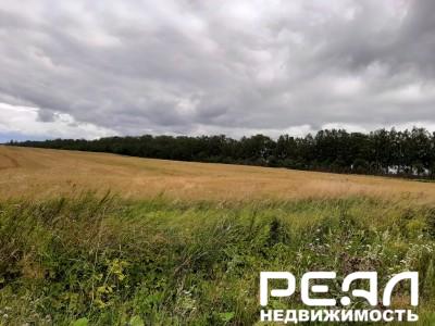 Земельный участок 411 сот. в садоводстве