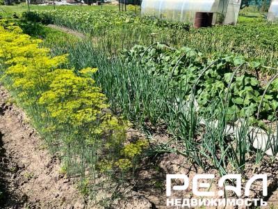 Жилой дом с участком 12 сот. в садоводстве