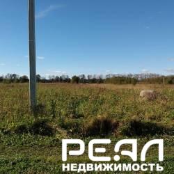 Земельный участок 25 сот. в садоводстве