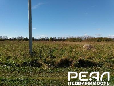 Земельный участок 25 сот. в садоводстве