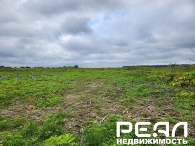 Земельный участок 17.5 сот. в садоводстве