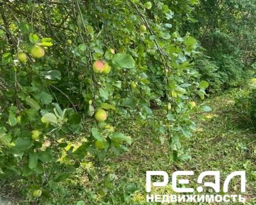 Жилой дом с участком 18.71 сот. в садоводстве